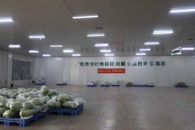 龍頭企業(yè)引領(lǐng)，搭乘“廣西好嘢”快車——平南縣農(nóng)產(chǎn)品物流發(fā)展駛?cè)肟燔嚨? class=