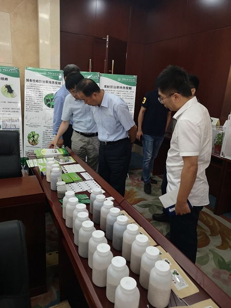 天敵昆蟲防控技術研發項目通過中期檢查，網絡技術賦能綠色農業發展